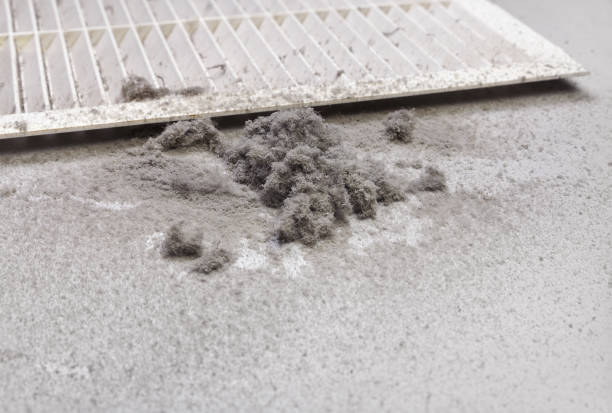 Best Ductwork Cleaning Services  in Wooster, OH