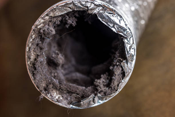 Best Emergency Air Duct Cleaning  in Wooster, OH