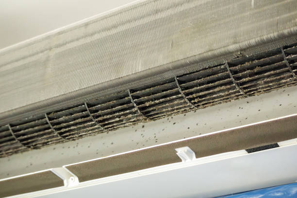 Best Air Vent Cleaning Services  in Wooster, OH